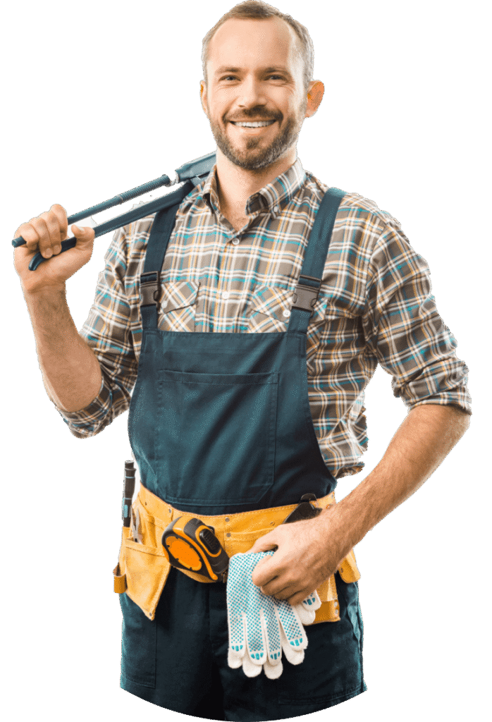 servicios integrales